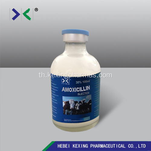ปริมาณการฉีดยา Amoxicillin สัตว์